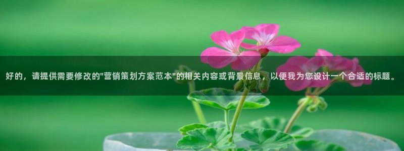 必赢集团菲律宾：好的，请提供需
