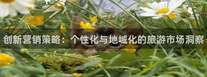 必赢用户登录：创新营销策略：个