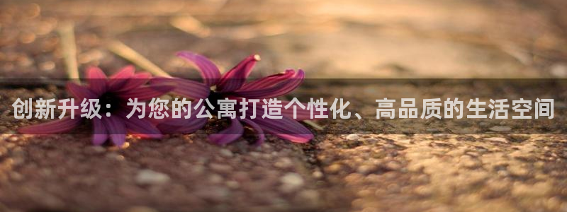 必赢网站：创新升级：为您的公寓