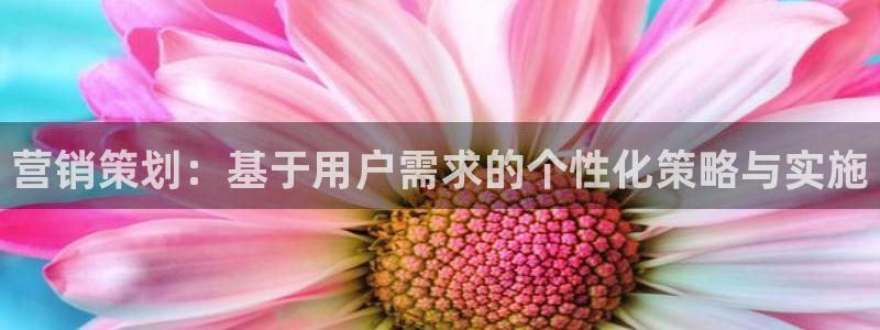 必赢国际437a：营销策划：基