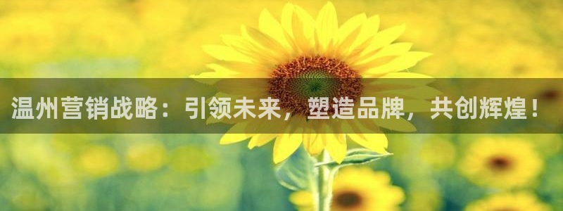 必赢科技北京有限公司：温州营销