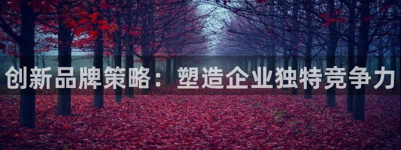 必赢首页：创新品牌策略：塑造企